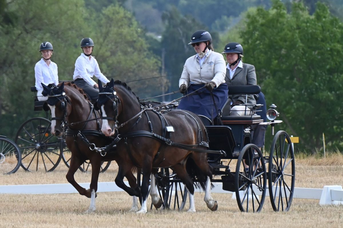 DSC_2791