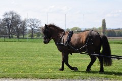 Ausfahrt2023-15
