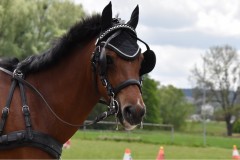 EinzeltrainingMai21-12