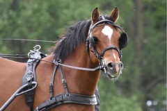 EinzeltrainingMai21-13