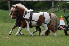 EinzeltrainingMai21-17
