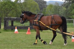 EinzeltrainingMai21-20