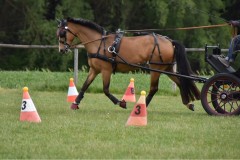 EinzeltrainingMai21-23