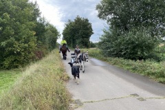 IMG_0531