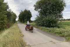 IMG_0534