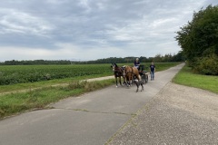 IMG_0536