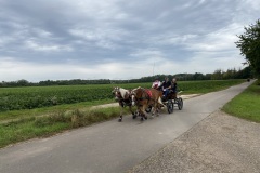 IMG_0540