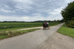 IMG_0542