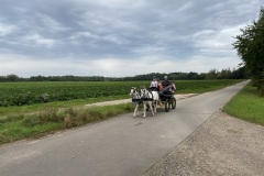 IMG_0545