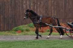 IMG-20240324-WA0081