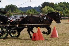 Samstag-58