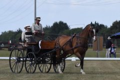 Samstag-72