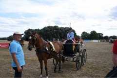 Sonntag-61