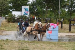 Sonntag-41