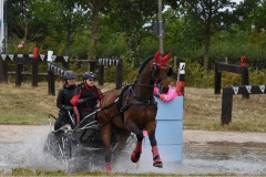 Sonntag-43
