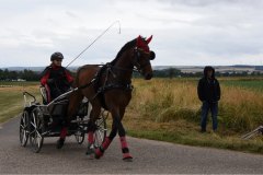 Sonntag-60