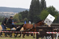 Sonntag-61