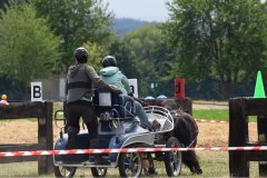 Sonntag-68
