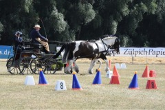 Samstag-1