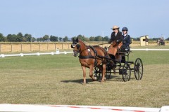 Samstag-43