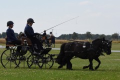 DSC_4556