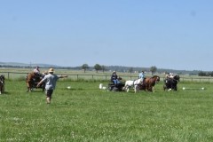 GAufstellen3