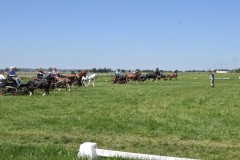 GAufstellen4