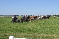 GAufstellen5