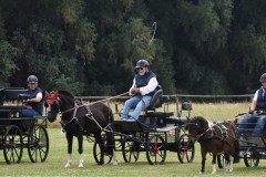 Sommerfest-1