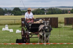 Sommerfest-11