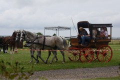 Sommerfest-15