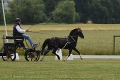 Sommerfest-17