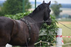 Sommerfest-18