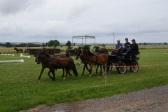 Sommerfest-2