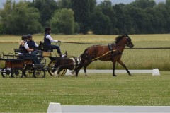Sommerfest-21