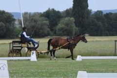 Sommerfest-28