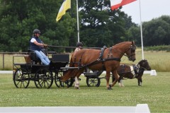 Sommerfest-34
