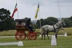 Sommerfest-37