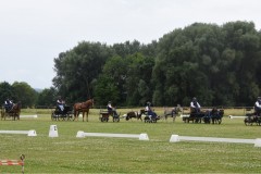 Sommerfest-38