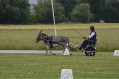 Sommerfest-39