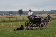 Sommerfest-40