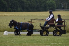 Sommerfest-44
