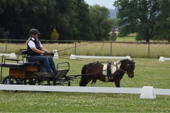 Sommerfest-45