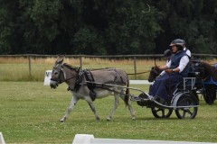 Sommerfest-46