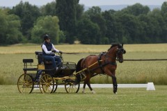 Sommerfest-49
