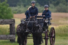 Sommerfest-5