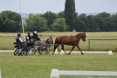 Sommerfest-53