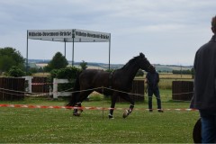 Sommerfest-8
