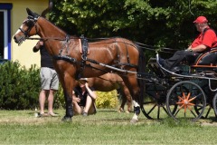 Trainingsturnier-15