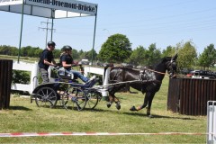 Trainingsturnier-16